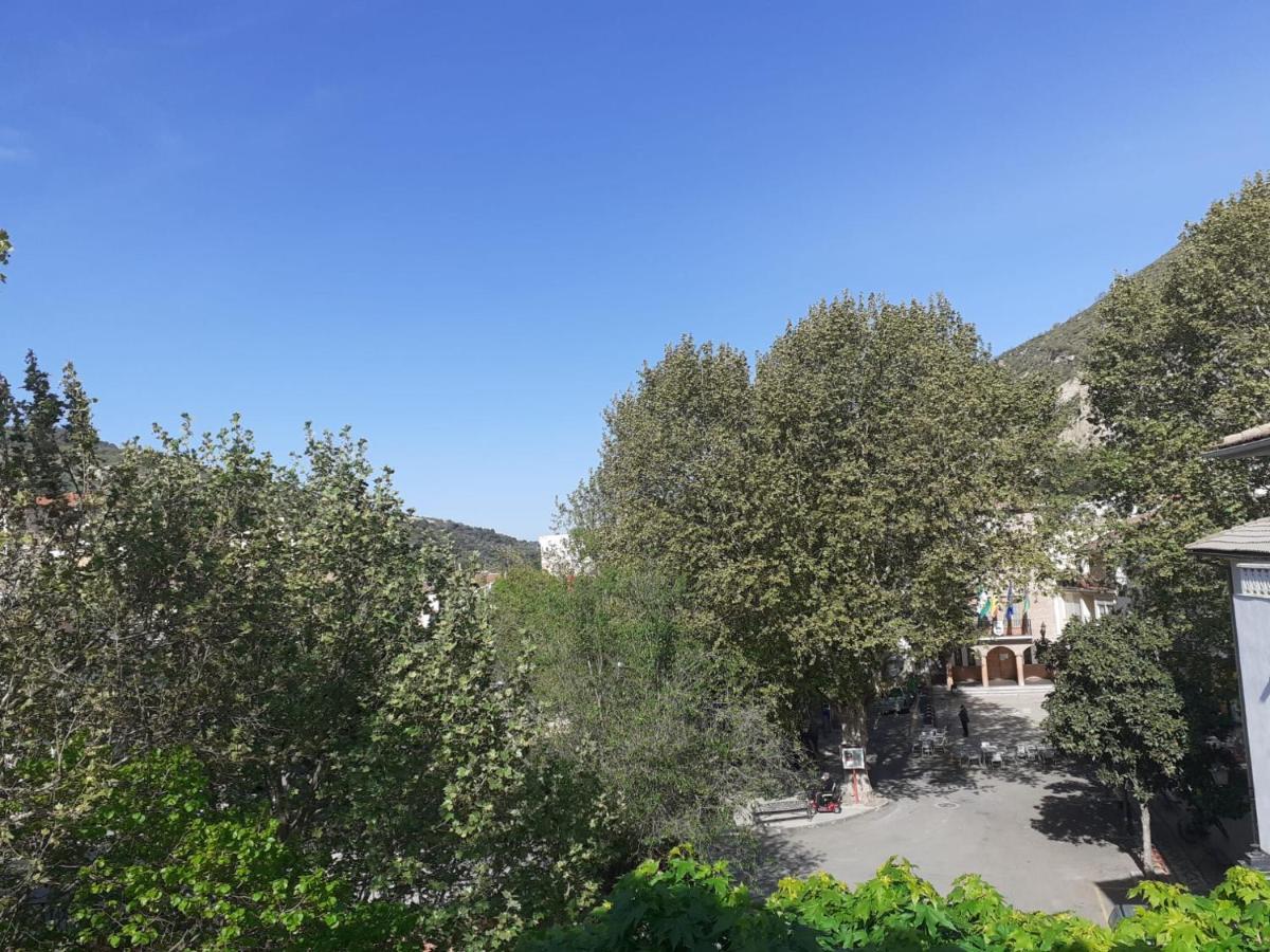 Apartamentos Pinos Genil Exterior photo